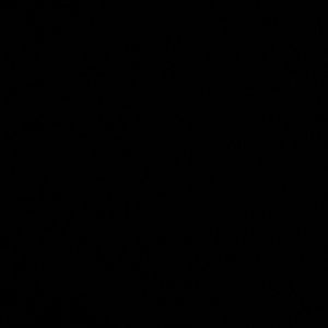 Meet your Posher, Nicki